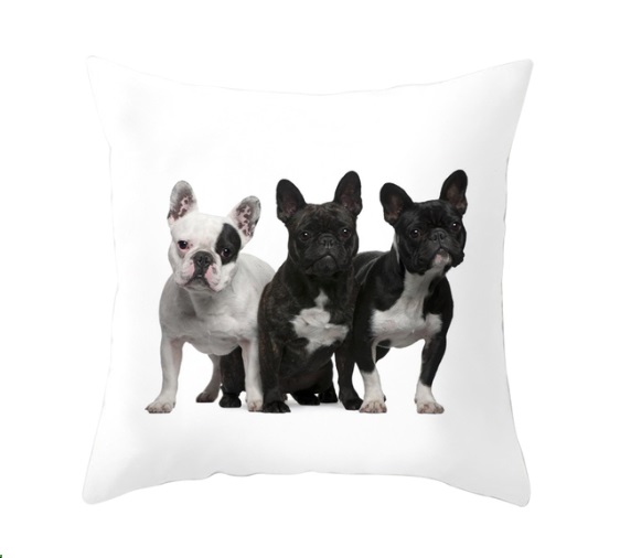 Win 1 of 5 Dog Pillow Cases