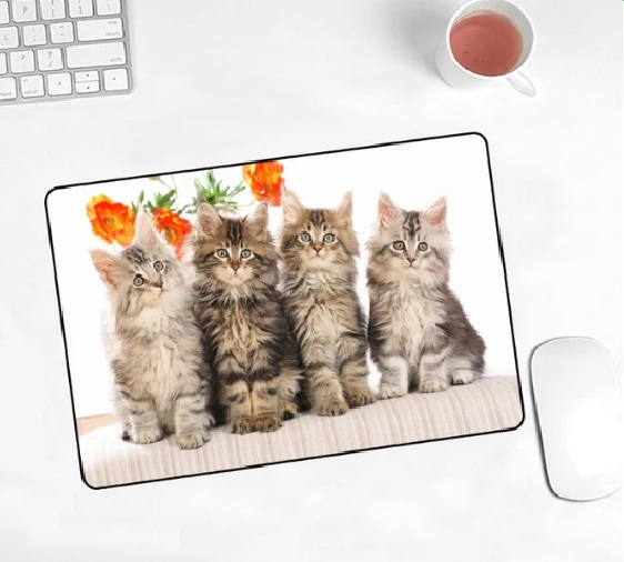 Win 1 of 2 Cat Mouse Pads