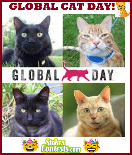 Happy Global Cat Day!