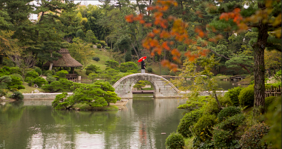 Beautiful Park in Japan