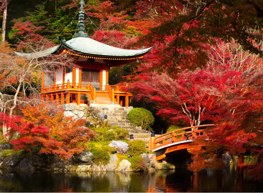 Breathtaking Temple in Japan