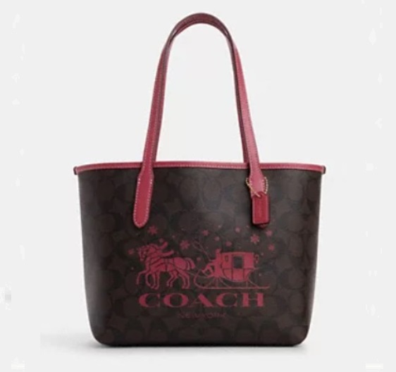 Win a COACH Handbag Worth $360