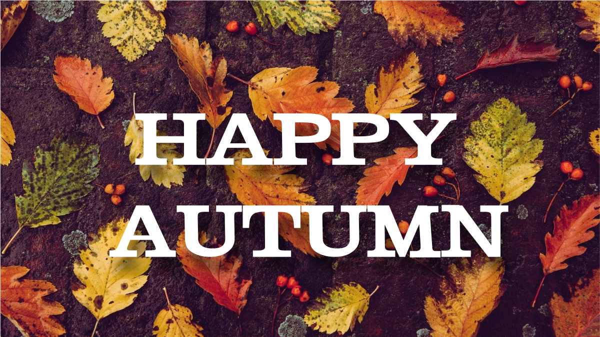 HAPPY AUTUMN!